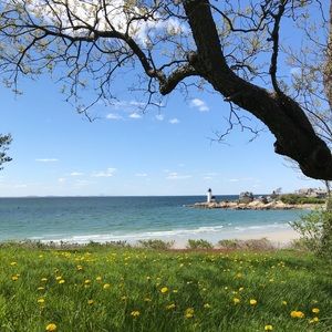 Meet your Posher, Lexi